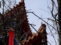-哈尔滨极乐寺