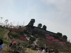 -秀丽东方