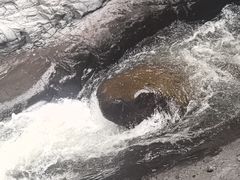 -小五台金河景区