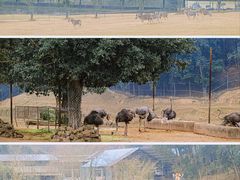 -乐和乐都主题乐园