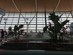-上海浦东国际机场-T2航站楼