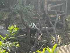 -南宁市动物园