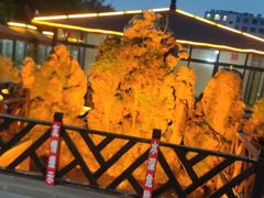 -小山羊功夫串·泰安烧烤·海鲜小炒老地摊店