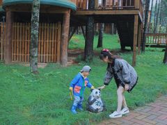 -洛阳白云山景区