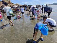 -那琴半岛地质海洋公园