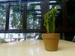 -渔太泰漓江小馆·广西融合菜(西街店)