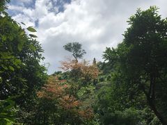 -亚龙湾国际玫瑰谷