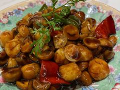 -梁溪河畔·吉府花园(南长街南下塘店)