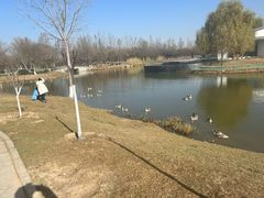 -西安浐灞国家湿地公园