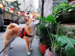 -山城巷传统风貌区