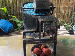 -大象粑粑造纸公园