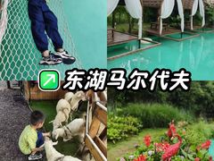 -HERRE·FARM 赫尔露营农场·团建聚会包场