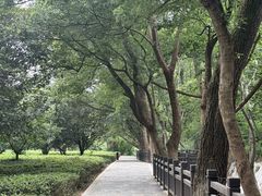 -虞山风景区