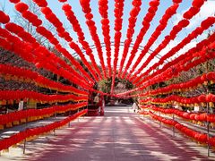 -石岛赤山风景区