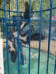 -萌宠亲子动物乐园(槐房万达店)