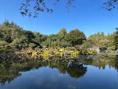 -杭州植物园