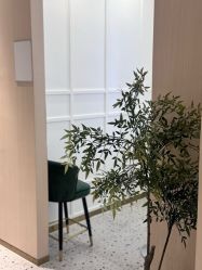 点击看大图 -杨益美学·野生眉半永久纹眉发际线