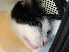 -荔康动物医院(康王北路店)