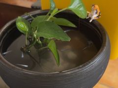 -竹雀古法采耳(青岛麦凯乐店)