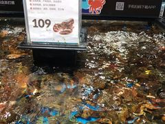 -盒马鲜生(曜一城店)