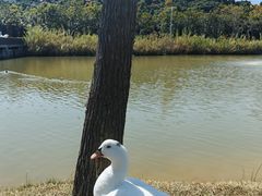 -深圳大学(丽湖校区)