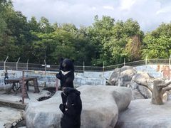 -青峰峡国家森林公园