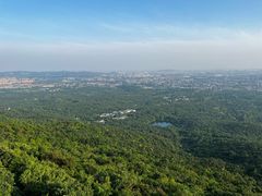 -紫金山山顶公园