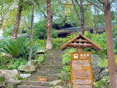 -五凤溪古镇