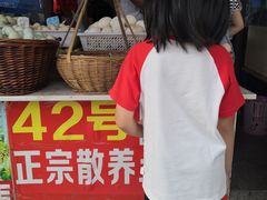 -长兴慧子土特产茶行