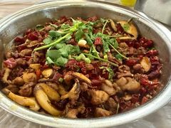 -食神又名厕所兔