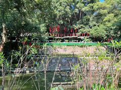 -广州市白云山风景名胜区