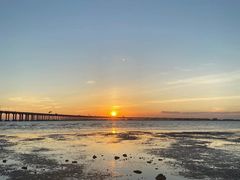 -宝安西湾红树林湿地公园