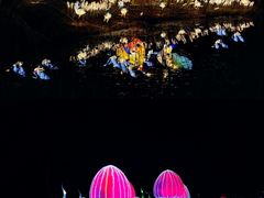 -洛阳市隋唐城遗址植物园
