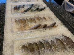 -Isla Sugbu Seafood City