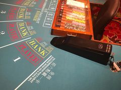 -拉斯维加斯永利酒店