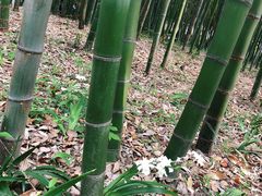 -汇龙潭