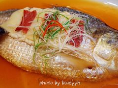 清蒸鲥鱼-御花园·粤菜·海鲜火锅(中山公园店)