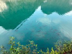 -靖西鹅泉风景区