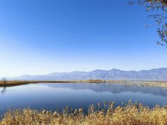 -野鸭湖国家湿地公园