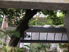-香港大学