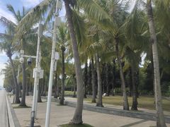 -深圳湾公园(南山区)