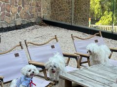 -J Create城市露营咖啡·简餐·宠物(上海动物园店)