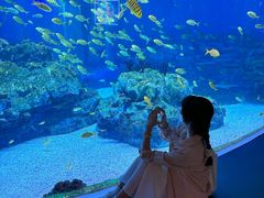 -海合安成都极地海洋公园