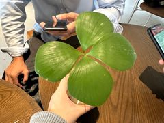 -fishtank鱼缸咖啡(三山街店)