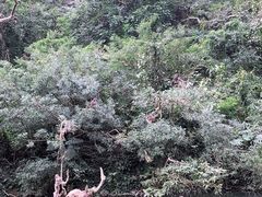 -广西龙虎山风景区