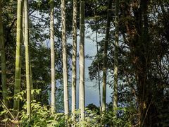 -庐山西海主景区