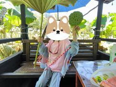 -西湖外事游船(花港观鱼码头)