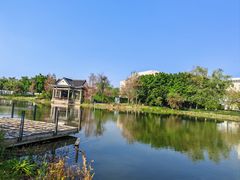 -映月湖公园