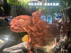 -院里寻菜·精致庭院菜(观沙岭店)