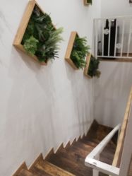 点击看大图 -薇薇安花系SPA